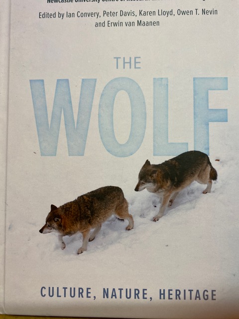 Wolf2